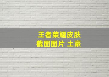 王者荣耀皮肤截图图片 土豪